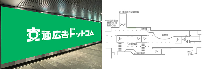 田都渋谷ビッグ14の特長