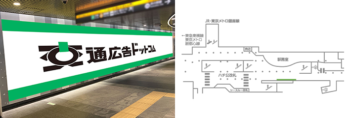 田都渋谷ビッグ20の特長